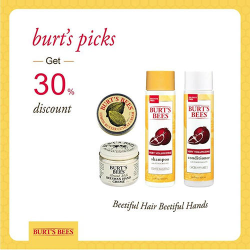 ิีburt's and bee promotion burts pick